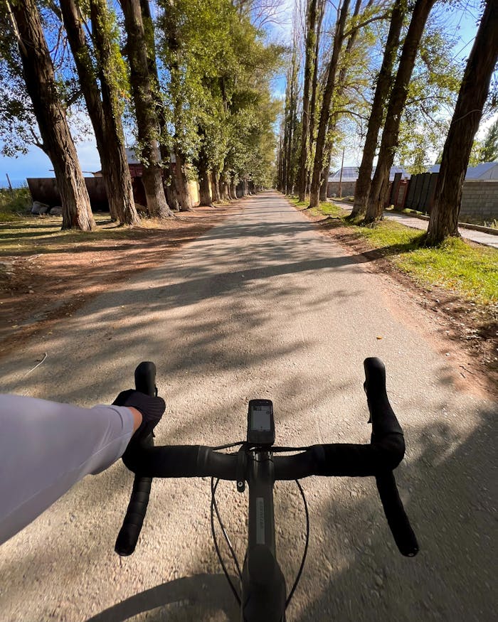 POV shot of cyclist on a scenic, tree-lined road during the day.